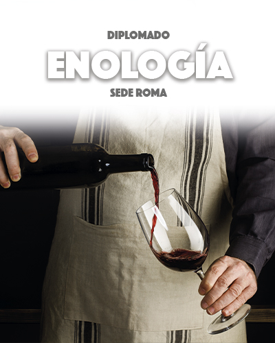 Diplomado en Enología