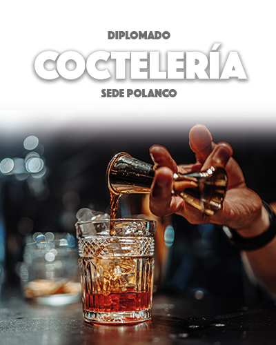 Diplomado en Coctelería