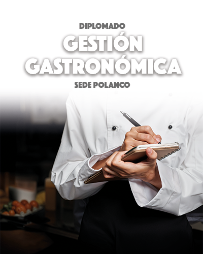 Diplomado en Gestión Gastronómica