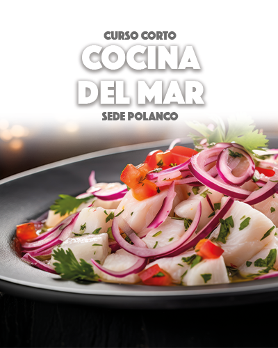 Curso Corto de Cocina del Mar