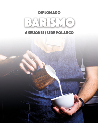 Diplomado en Barismo