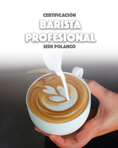 Certificación de Barista Profesional