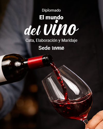 Diplomado el Mundo del Vino
